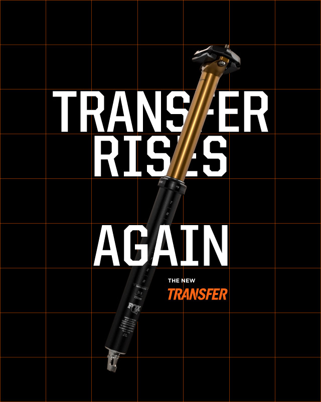 Transfer Rises Again