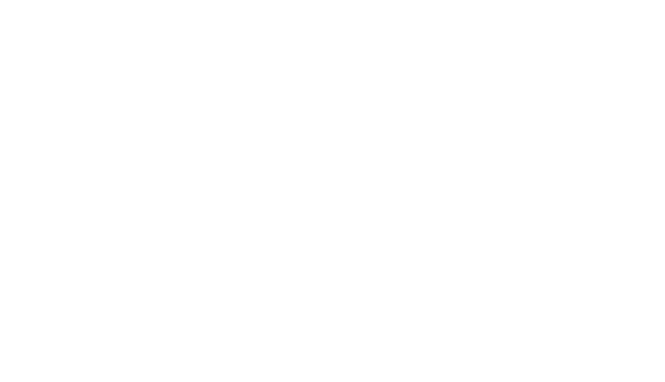 FOX ACADEMY