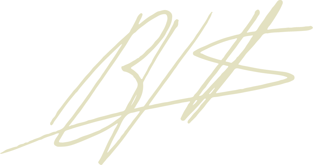 Bas Van Steenbergen signature